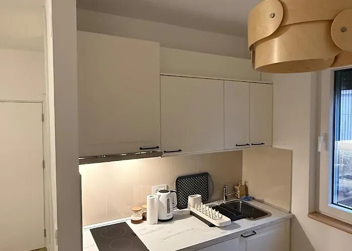 Gardoshouse 3 公寓 贝尔格莱德